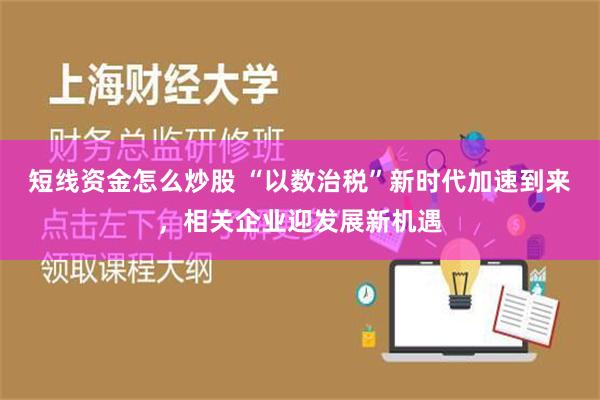 短线资金怎么炒股 “以数治税”新时代加速到来，相关企业迎发展新机遇