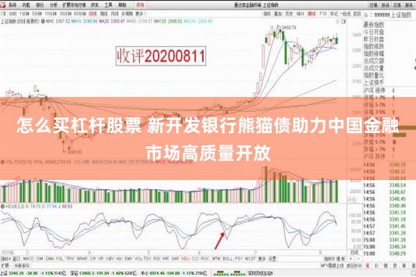 怎么买杠杆股票 新开发银行熊猫债助力中国金融市场高质量开放