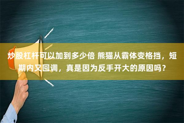 炒股杠杆可以加到多少倍 熊猫从霸体变格挡，短期内又回调，真是因为反手开大的原因吗？