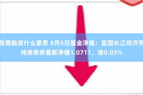 股票融资什么意思 8月5日基金净值：富国长江经济带纯债债券最新净值1.0711，涨0.03%