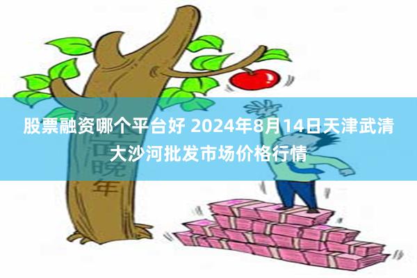 股票融资哪个平台好 2024年8月14日天津武清大沙河批发市场价格行情