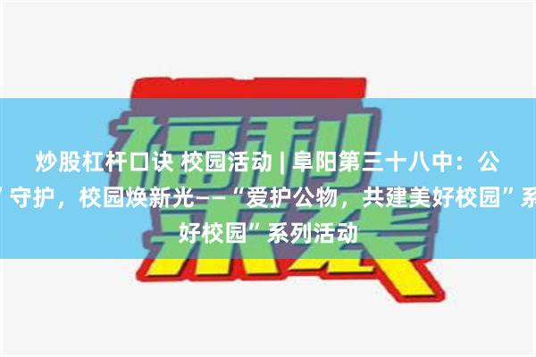 炒股杠杆口诀 校园活动 | 阜阳第三十八中：公物“心”守护，校园焕新光——“爱护公物，共建美好校园”系列活动